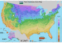 Your Planting Zone and the USDA Plant Hardiness Zone Map - Travis ...